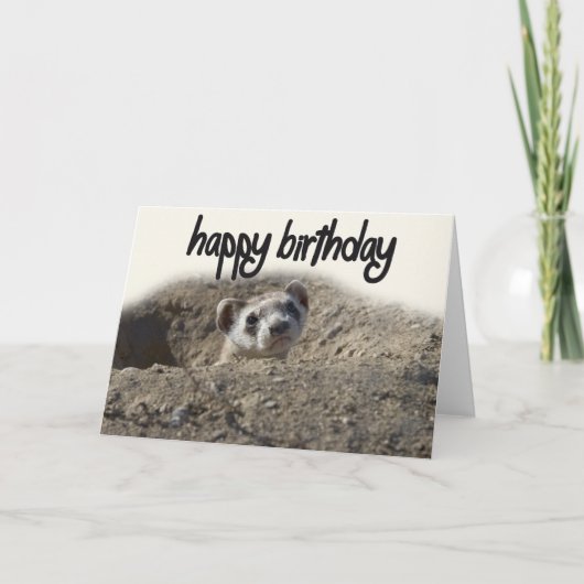 Leuke Ferret Happy Birthday Kaart (Voorkant)