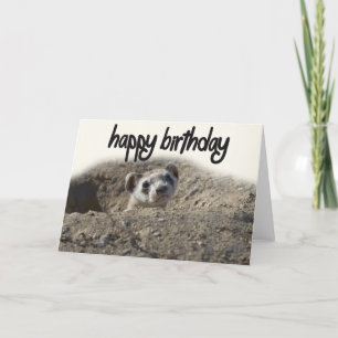 leuke Ferret Happy Birthday-kaart Kaart