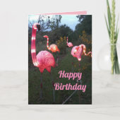 Leuke Flamingo Verjaardag Kaart (Voorkant)