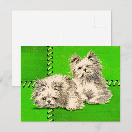 Leuke floofy honden briefkaart (Voorkant / Achterkant)