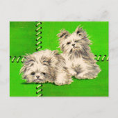 Leuke floofy honden briefkaart (Voorkant)