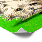 Leuke floofy honden poster (Hoek)