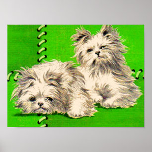Leuke floofy honden poster
