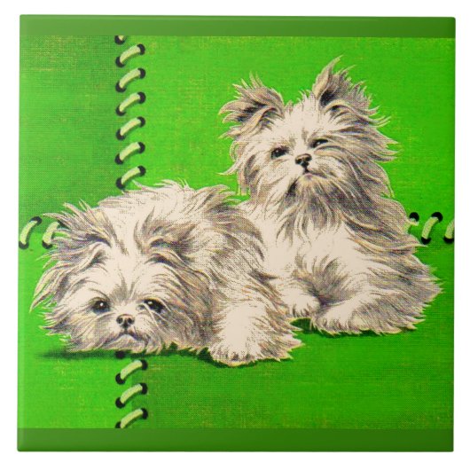 Leuke floofy honden tegeltje (Voorkant)