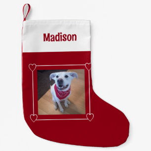 Leuke foto van Hond glimlachend Rood en Wit Voeg n Kleine Kerstsok