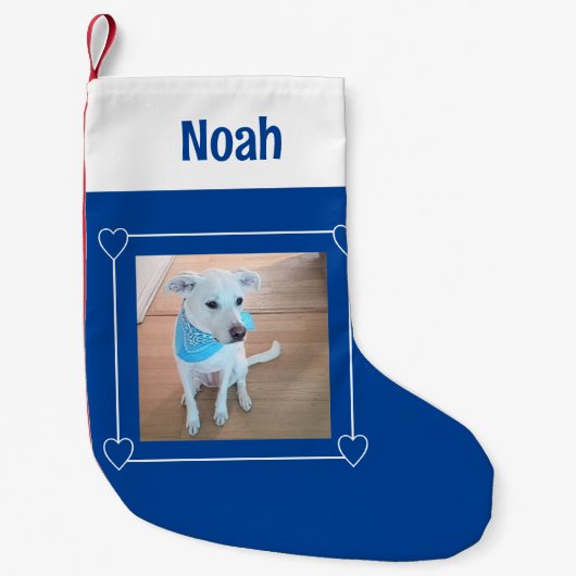 Leuke foto van Sweet Puppy Dog Blauw en Wit Kleine Kerstsok (Voorkant)