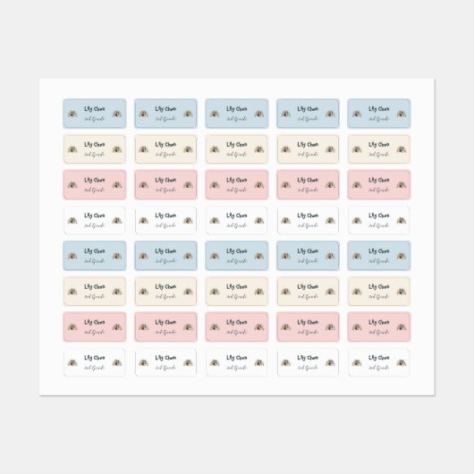 Leuke Franse Bulldog Terug naar School Regenboog Labels (Vel)