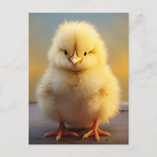 Leuke Fuzzy Chick - Grappige Boerderijdieren Briefkaart (Voorkant)