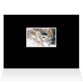 LEUKE GEDACHTEN AAN JOU DEZE VAKANTIE/SNEEUW (Binnen Horizontaal (Boven))