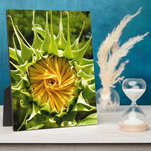 Leuke gele bloem Zonnebloem Fotoplaat (Zijkant)