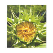 Leuke gele bloem Zonnebloem Notitieblok (Voorkant)