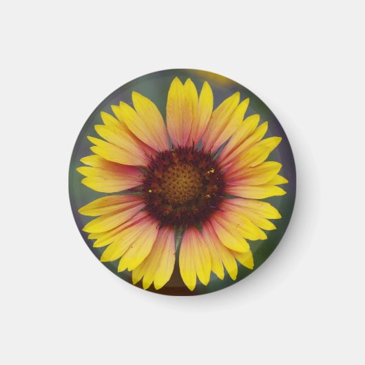 Leuke gele Daisy bloemenmagneet Magneet (Voorkant)
