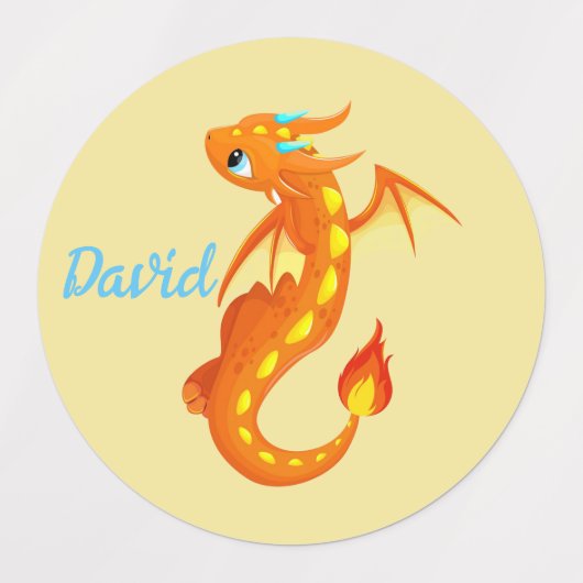 Leuke gepersonaliseerde baby Dragon Labels (Design 2)
