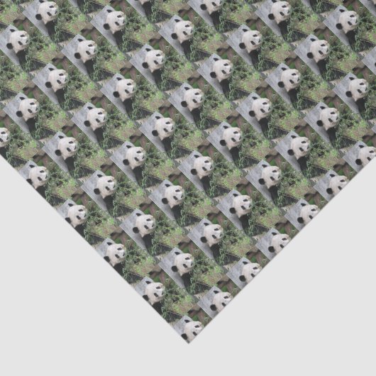 Leuke Giant Panda Groen Zwart-wit Tissuepapier (Detail)