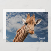 Leuke Giraffe foto Notitiekaartje (Voorkant / Achterkant)