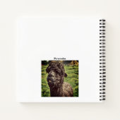 Leuke Goofy Black Alpaca Boerderij Animal White Jo Notitieboek (Achterkant)