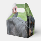 Leuke Gordon Setter Bedankdoosjes (Achterkant)