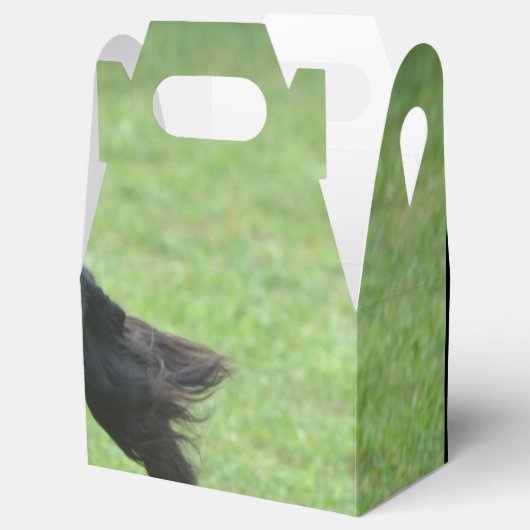 Leuke Gordon Setter Bedankdoosjes (Geopend)