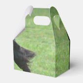 Leuke Gordon Setter Bedankdoosjes (Voorkant Zijde)