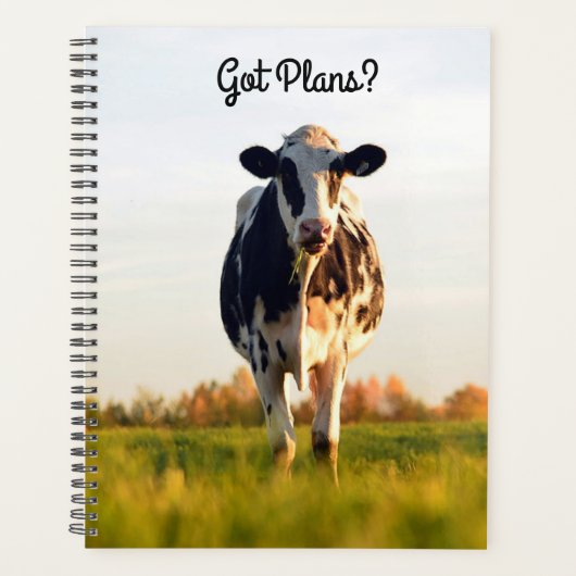 Leuke Got Plans Holstein Heifer in Pasture (Lg.) Planner (Voorkant)