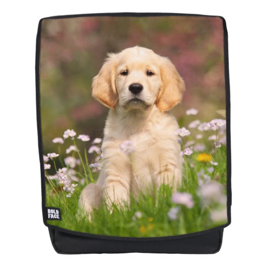 Leuke Gouden Retriever Hond Puppy Portret Boldface Rugtassen (Voorkant)