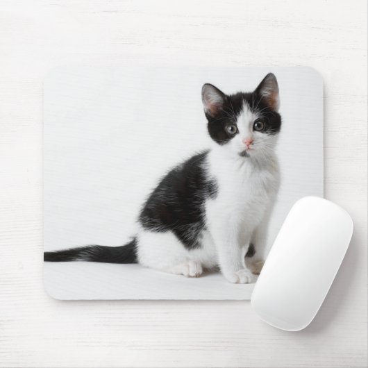 Leuke Grappige bontkatjes zwart-witte kat Muismat (Met muis)