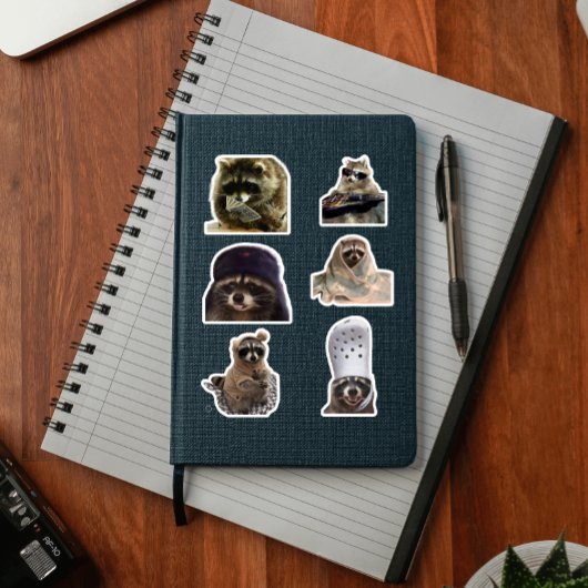 Leuke/grappige Raccoon tiktok meme pack sticker bu