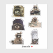 Leuke/grappige Raccoon tiktok meme pack sticker bu (Vel)