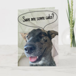 Leuke grijze brindle veedrijvershond foto kaart