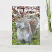 Leuke grijze eekhoorn grappige verjaardag kaart (Voorkant)