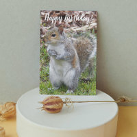 Leuke grijze eekhoorn grappige verjaardag