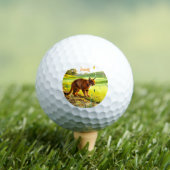 Leuke Grote Kat Golfballen (Insitu Shirt)