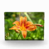 Leuke grote Lily bloem foto (Voorkant)