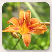 Leuke grote Lily bloem foto Bier Onderzetter (Voorkant)