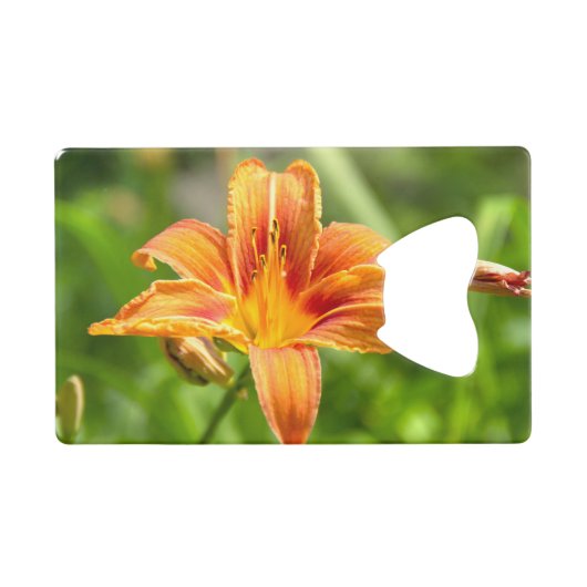 Leuke grote Lily bloem foto Creditkaart Flessenopener (Voorkant (Horizontaal))