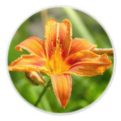 Leuke grote Lily bloem foto Keramische Knop (Voorkant)