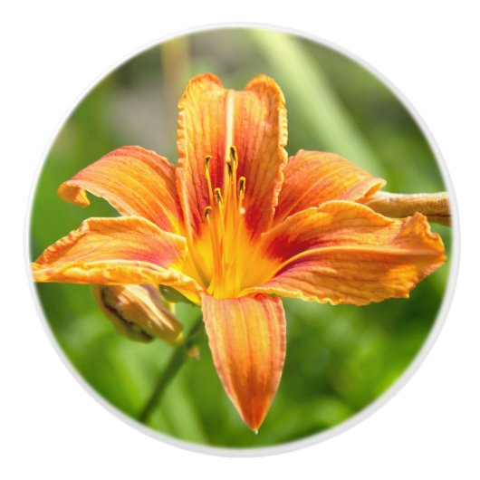 Leuke grote Lily bloem foto Keramische Knop (Voorkant)