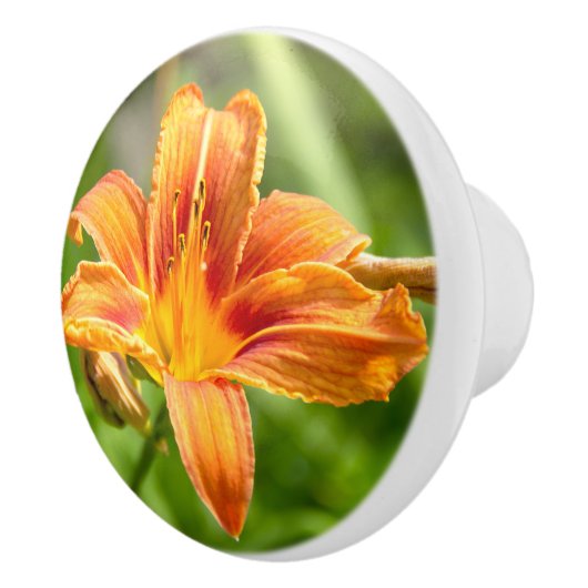 Leuke grote Lily bloem foto Keramische Knop (Rechts)