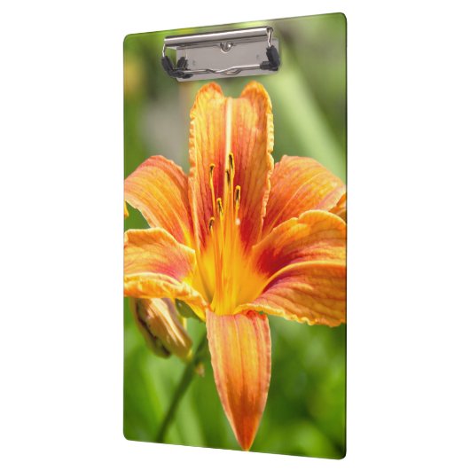 Leuke grote Lily bloem foto Klembord (Links)