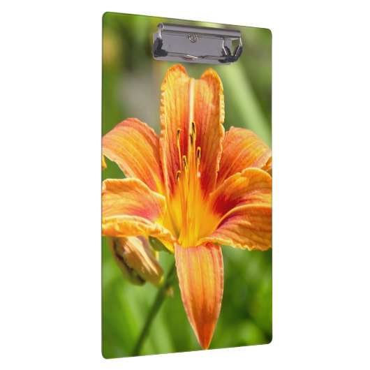 Leuke grote Lily bloem foto Klembord (Rechts)