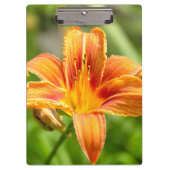 Leuke grote Lily bloem foto Klembord (Voorkant)