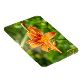 Leuke grote Lily bloem foto Magneet (Rechterzijde)