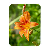 Leuke grote Lily bloem foto Magneet (Verticaal)