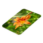 Leuke grote Lily bloem foto Magneet (Linkerzijde)