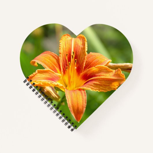 Leuke grote Lily bloem foto Notitieboek (Voorkant)