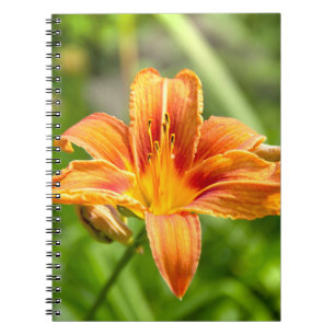 Leuke grote Lily bloem foto Notitieboek