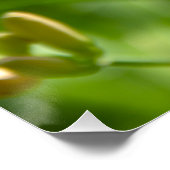 Leuke grote Lily bloem foto Perfect Poster (Hoek)