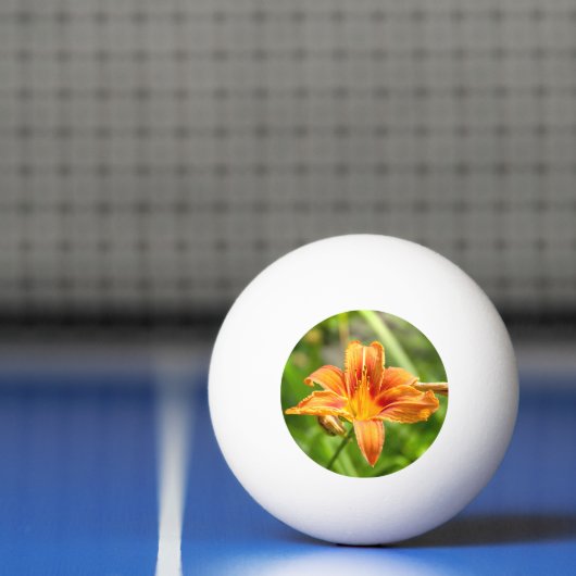 Leuke grote Lily bloem foto Pingpongbal (Net)