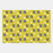 Leuke Guinee Pig Gele Ballonnen Custom Verjaardag Inpakpapier Vel (Voorkant 2)