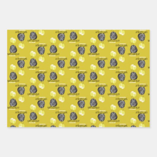 Leuke Guinee Pig Gele Ballonnen Custom Verjaardag Inpakpapier Vel (Voorkant 2)